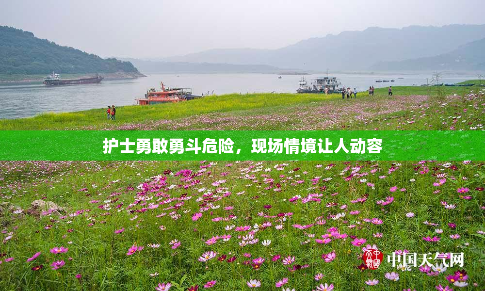 护士勇敢勇斗危险，现场情境让人动容