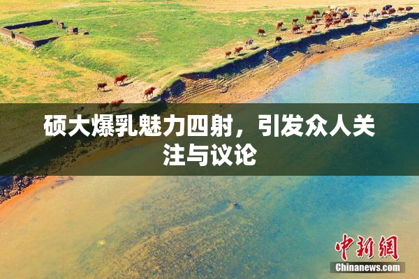 硕大爆乳魅力四射，引发众人关注与议论