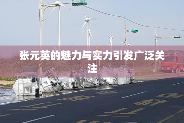 张元英的魅力与实力引发广泛关注
