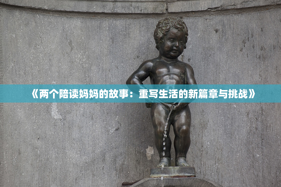《两个陪读妈妈的故事：重写生活的新篇章与挑战》