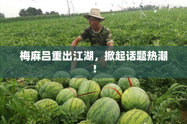 梅麻吕重出江湖，掀起话题热潮！