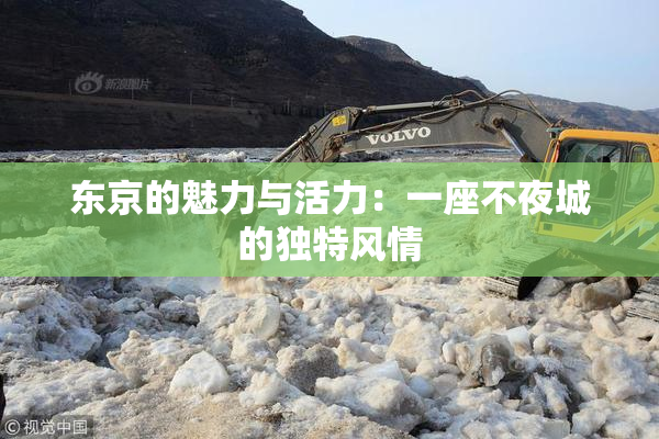 东京的魅力与活力：一座不夜城的独特风情