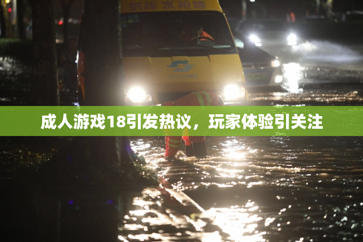成人游戏18引发热议，玩家体验引关注