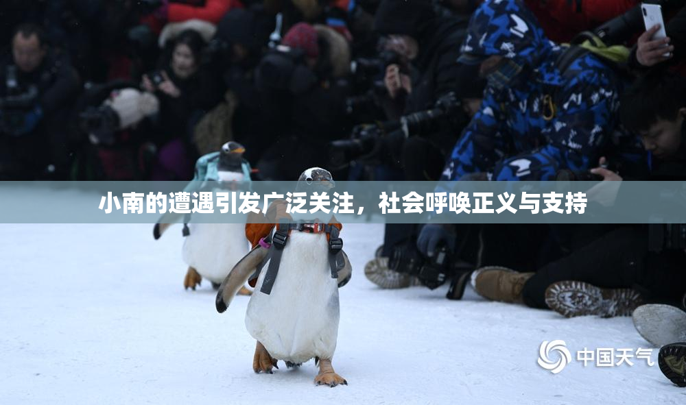 小南的遭遇引发广泛关注，社会呼唤正义与支持