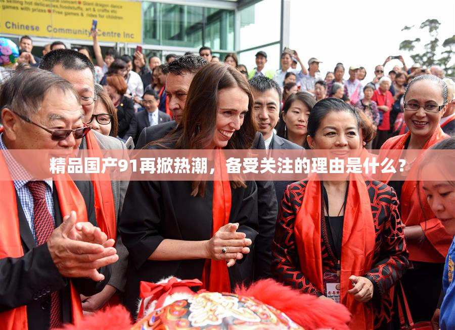 精品国产91再掀热潮，备受关注的理由是什么？