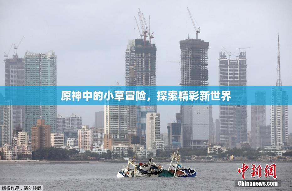 原神中的小草冒险，探索精彩新世界