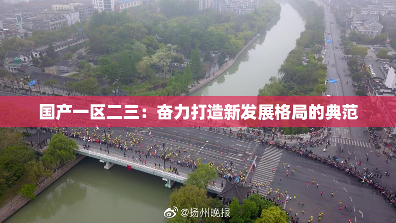 国产一区二三：奋力打造新发展格局的典范