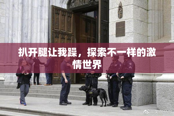 扒开腿让我躁，探索不一样的激情世界