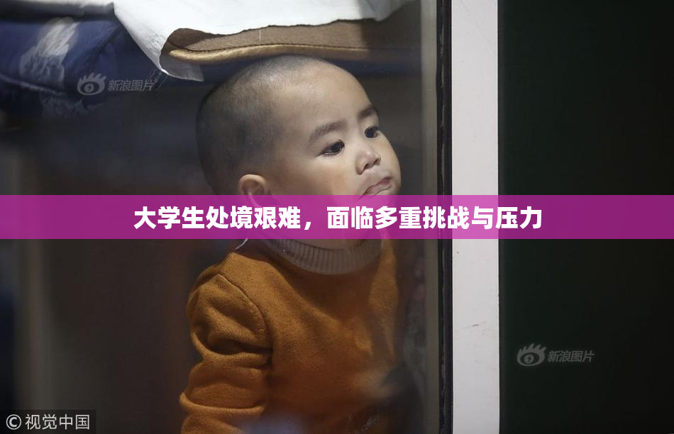 大学生处境艰难，面临多重挑战与压力