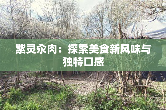紫灵汆肉：探索美食新风味与独特口感