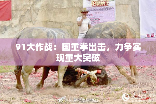 91大作战：国重拳出击，力争实现重大突破