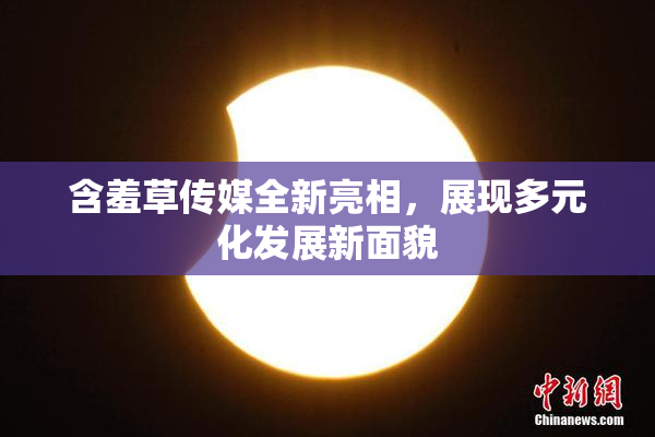 含羞草传媒全新亮相，展现多元化发展新面貌