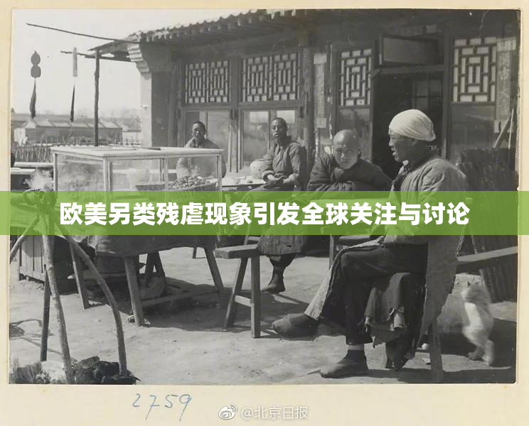 欧美另类残虐现象引发全球关注与讨论