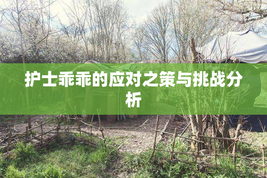 护士乖乖的应对之策与挑战分析