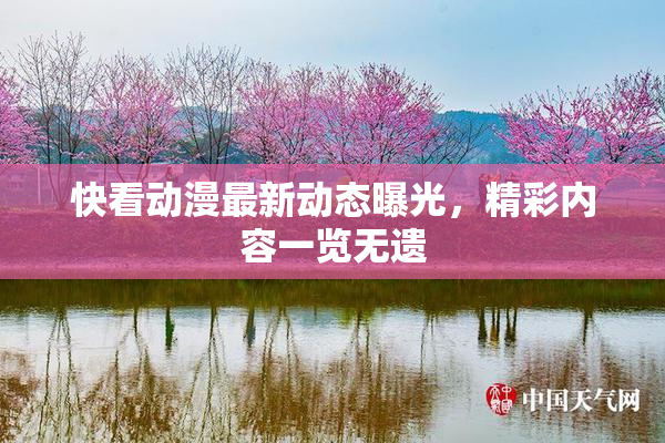快看动漫最新动态曝光，精彩内容一览无遗