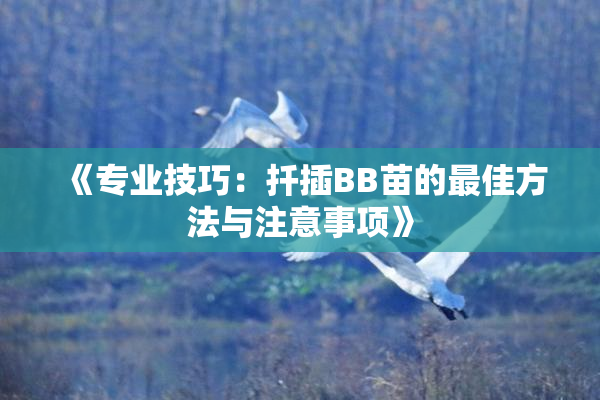 《专业技巧：扦插BB苗的最佳方法与注意事项》