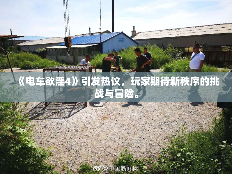 《电车欲淫4》引发热议，玩家期待新秩序的挑战与冒险。