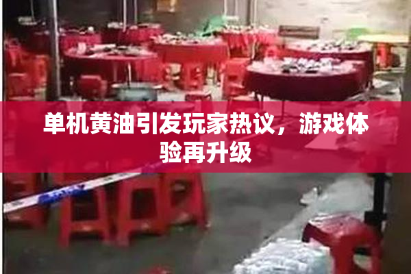 单机黄油引发玩家热议，游戏体验再升级
