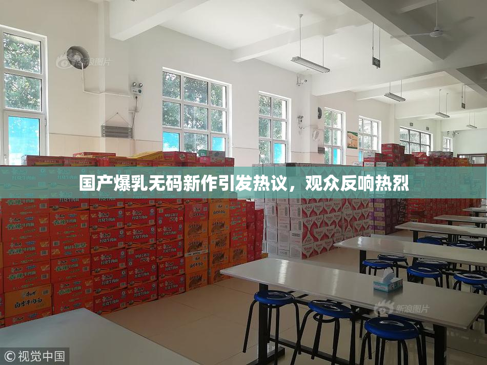 国产爆乳无码新作引发热议，观众反响热烈
