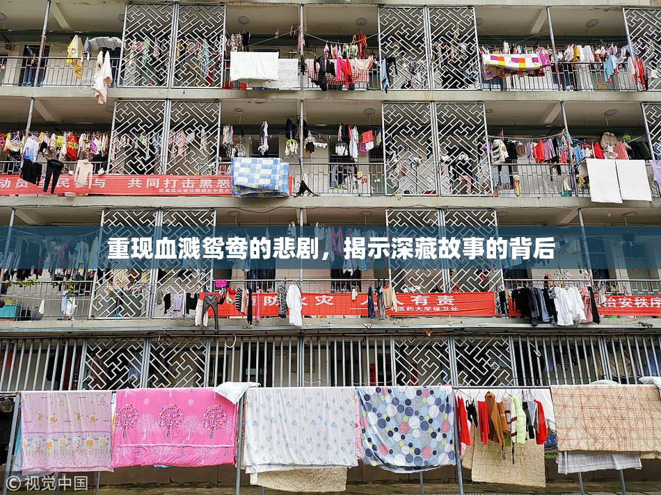 重现血溅鸳鸯的悲剧，揭示深藏故事的背后
