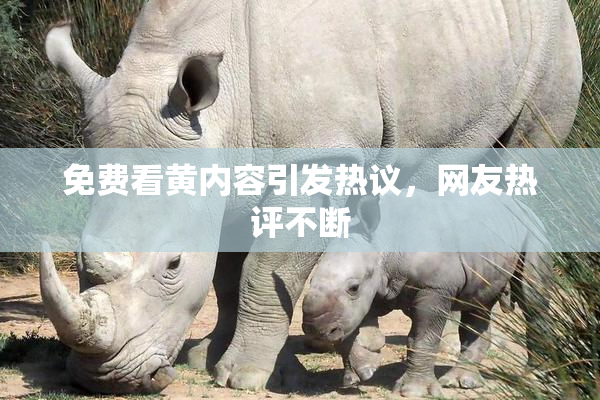 免费看黄内容引发热议，网友热评不断