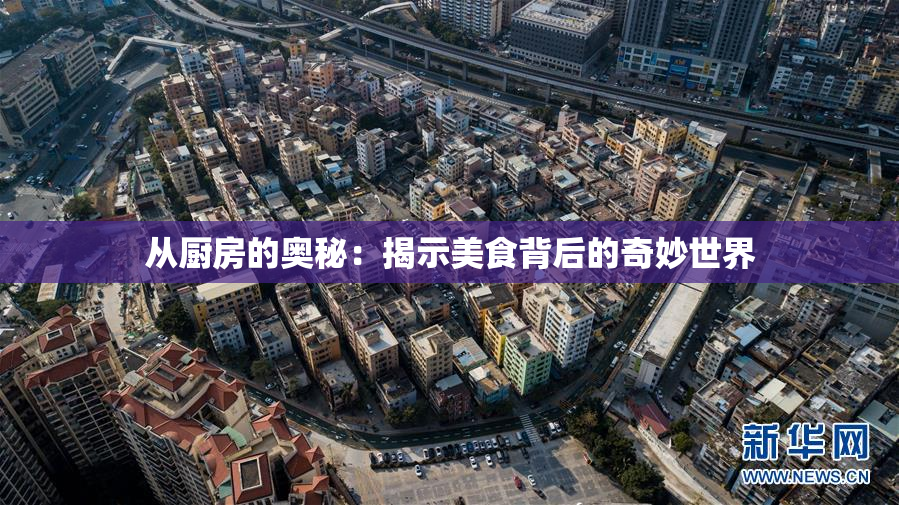 从厨房的奥秘：揭示美食背后的奇妙世界