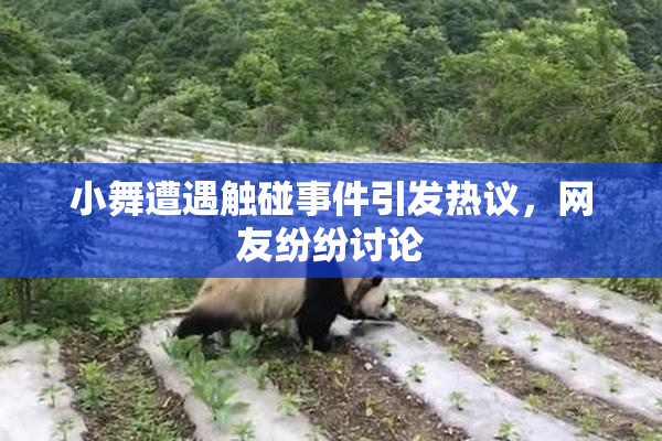 小舞遭遇触碰事件引发热议，网友纷纷讨论
