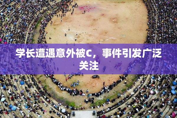 学长遭遇意外被C，事件引发广泛关注