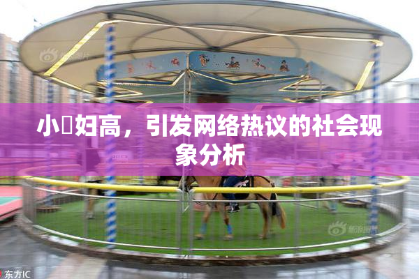 小婬妇高，引发网络热议的社会现象分析