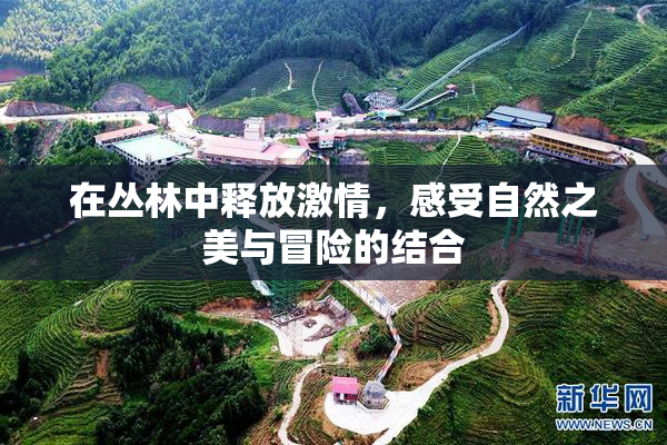 在丛林中释放激情，感受自然之美与冒险的结合