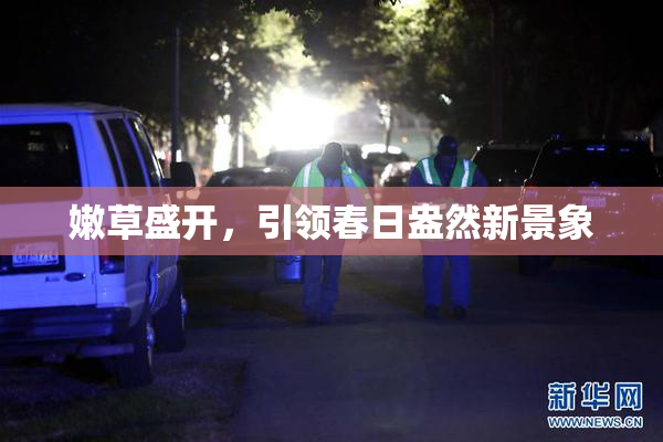 嫩草盛开，引领春日盎然新景象