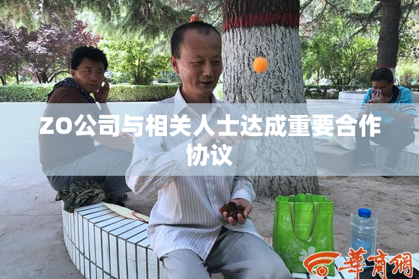 ZO公司与相关人士达成重要合作协议