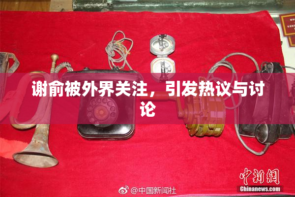 谢俞被外界关注，引发热议与讨论