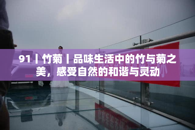 91丨竹菊丨品味生活中的竹与菊之美，感受自然的和谐与灵动