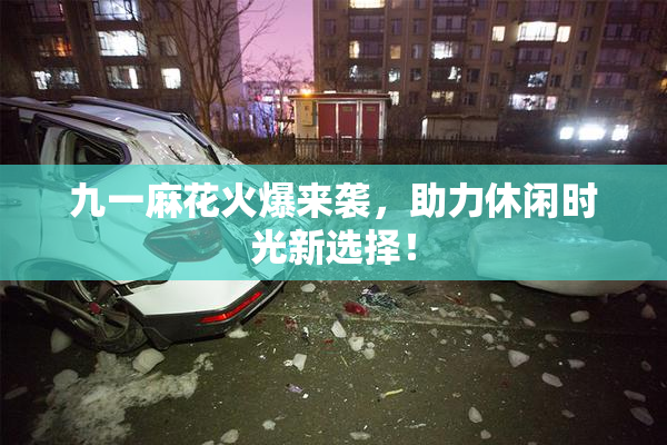 九一麻花火爆来袭，助力休闲时光新选择！