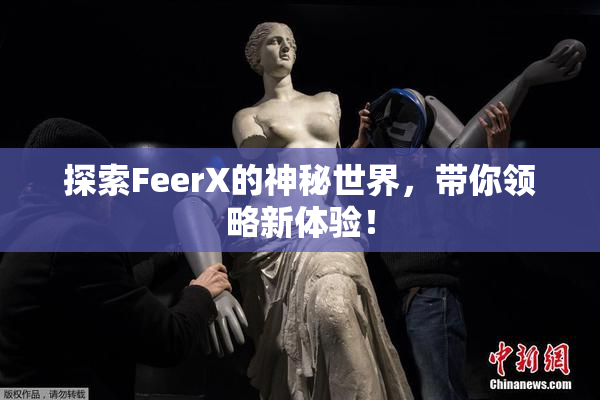 探索FeerX的神秘世界，带你领略新体验！