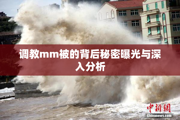 调教mm被的背后秘密曝光与深入分析