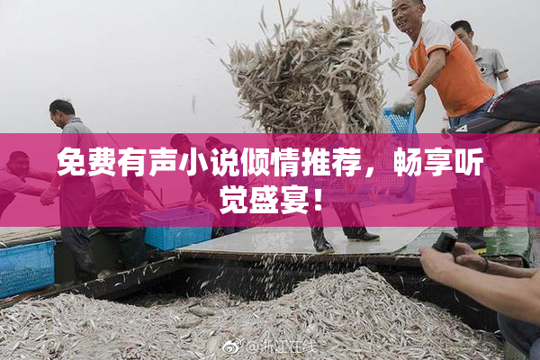 免费有声小说倾情推荐，畅享听觉盛宴！