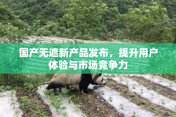 国产无遮新产品发布，提升用户体验与市场竞争力