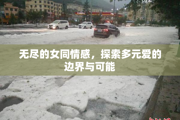 无尽的女同情感，探索多元爱的边界与可能