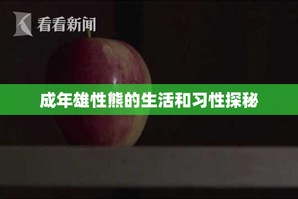 成年雄性熊的生活和习性探秘