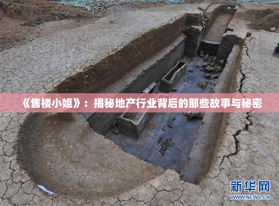 《售楼小姐》：揭秘地产行业背后的那些故事与秘密