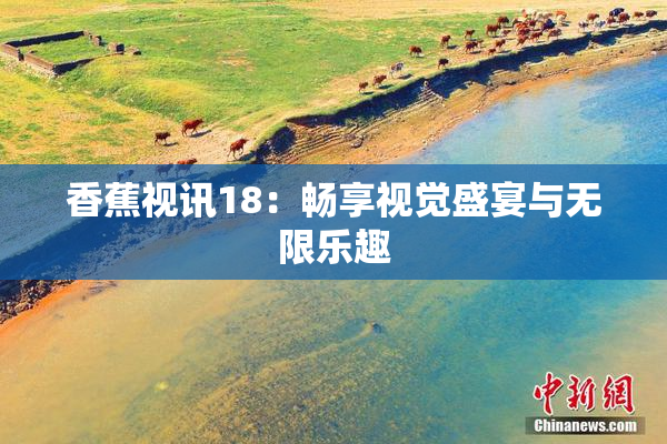 香蕉视讯18：畅享视觉盛宴与无限乐趣