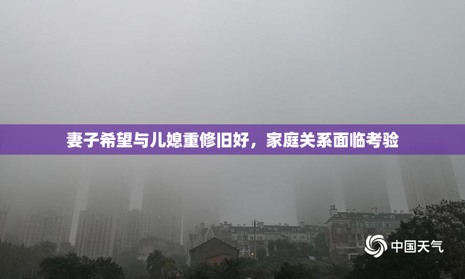 妻子希望与儿媳重修旧好，家庭关系面临考验