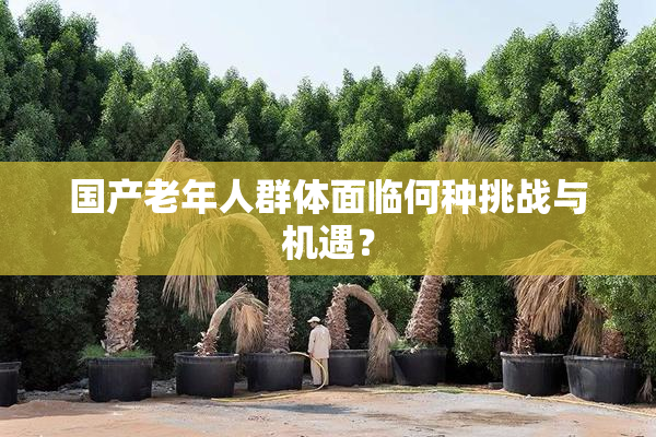 国产老年人群体面临何种挑战与机遇？
