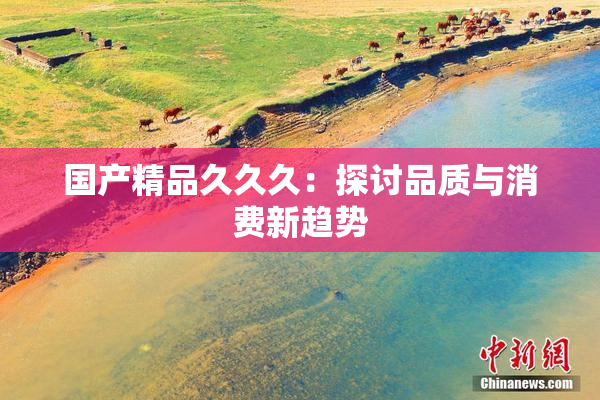 国产精品久久久：探讨品质与消费新趋势