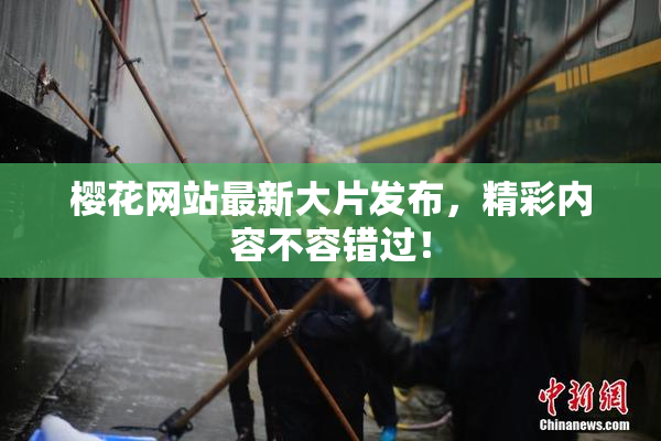 樱花网站最新大片发布，精彩内容不容错过！