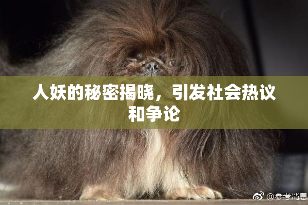 人妖的秘密揭晓，引发社会热议和争论
