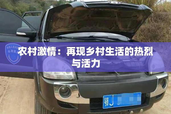 农村激情：再现乡村生活的热烈与活力