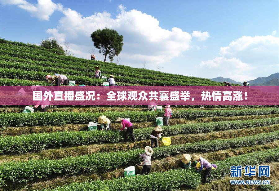 国外直播盛况：全球观众共襄盛举，热情高涨！